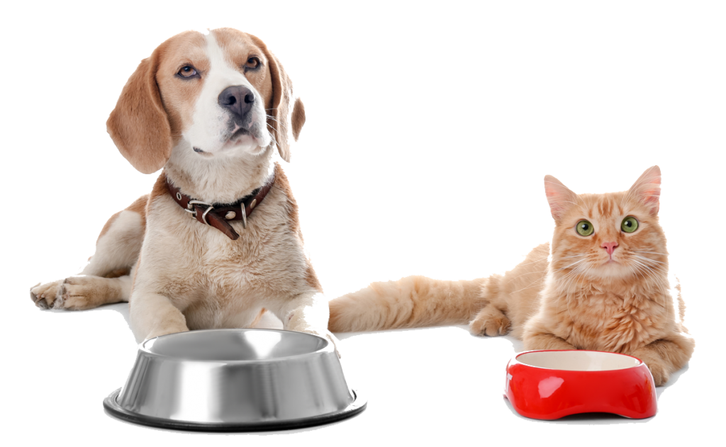 Pet Weight Management Escondido, CA CAHRC