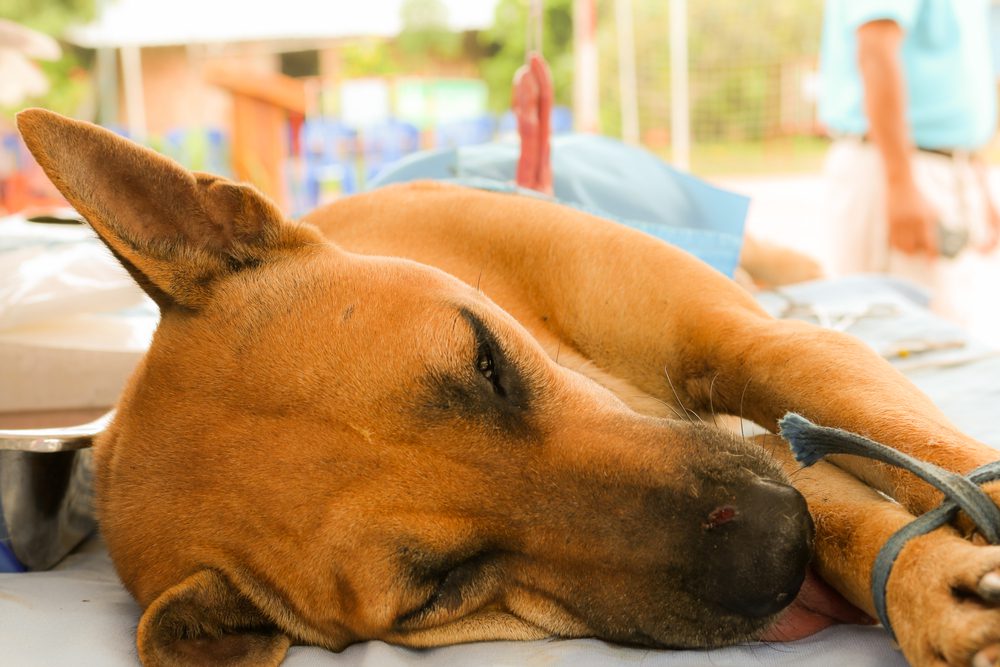 A blue and green abstract geometric pattern with sharp diagonal divisions.