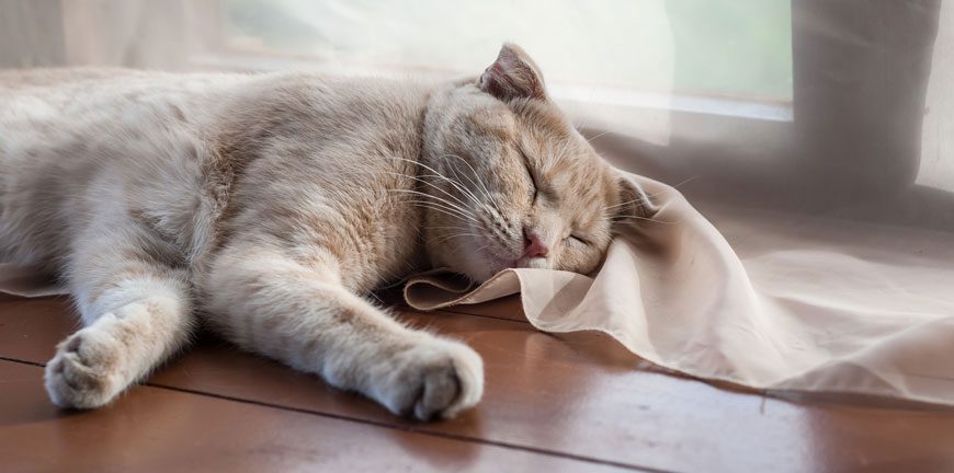 A blue and green abstract geometric pattern with sharp diagonal divisions.