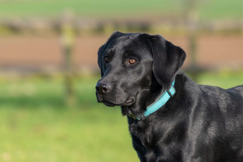 A blue and green abstract geometric pattern with sharp diagonal divisions.