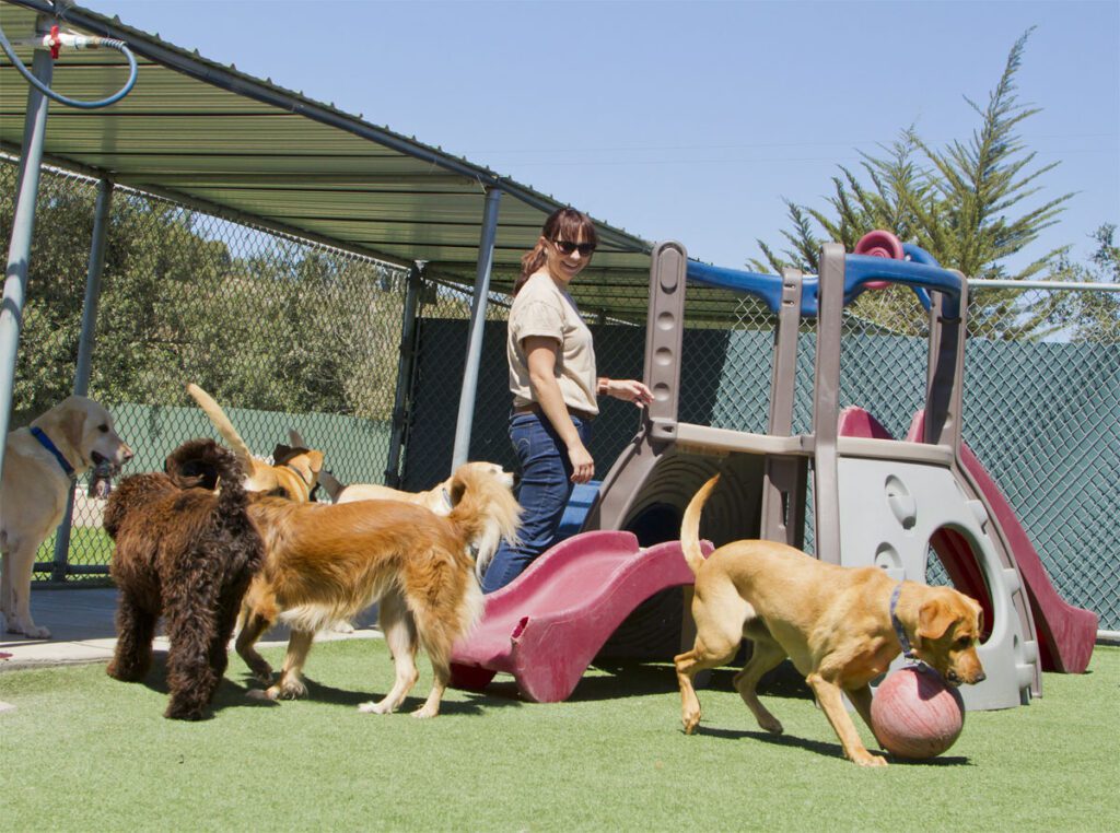 A blue and green abstract geometric pattern with sharp diagonal divisions.