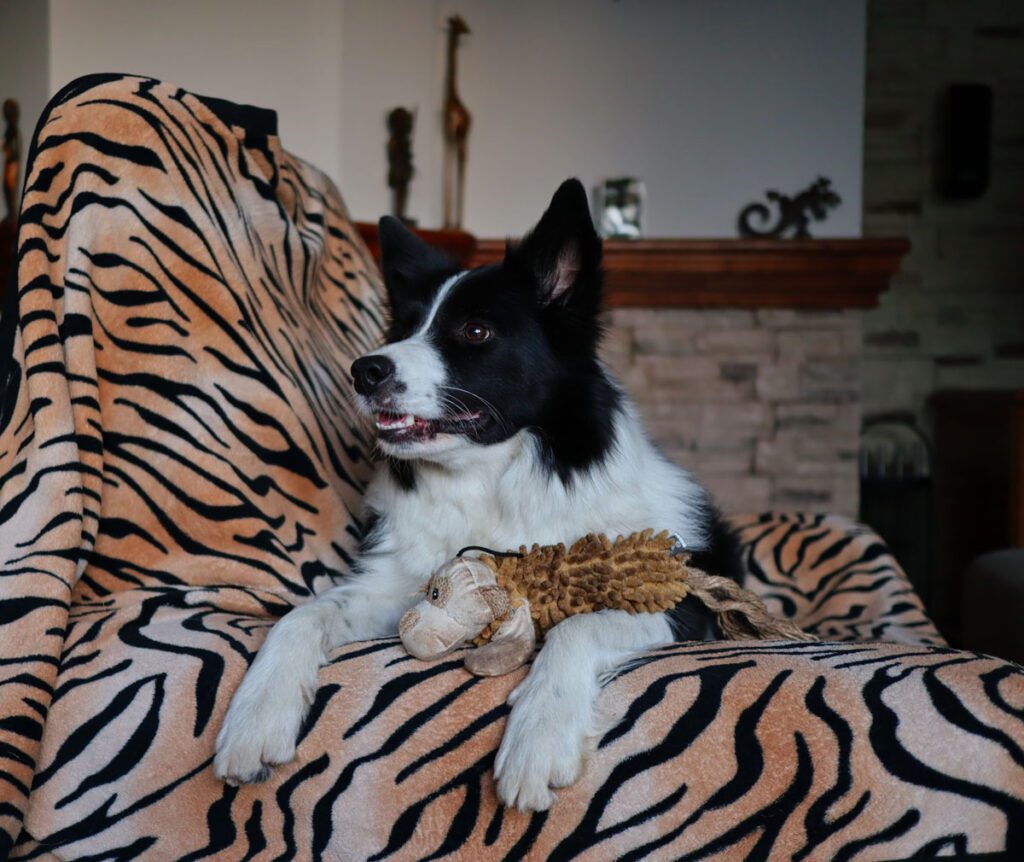 A blue and green abstract geometric pattern with sharp diagonal divisions.