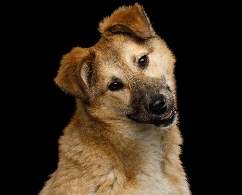 A blue and green abstract geometric pattern with sharp diagonal divisions.