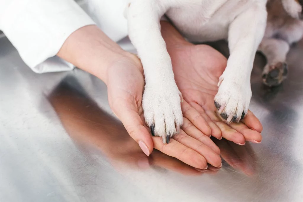 A blue and green abstract geometric pattern with sharp diagonal divisions.