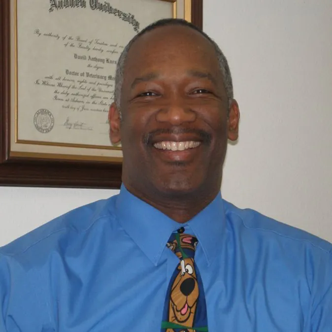 A blue and green abstract geometric pattern with sharp diagonal divisions.