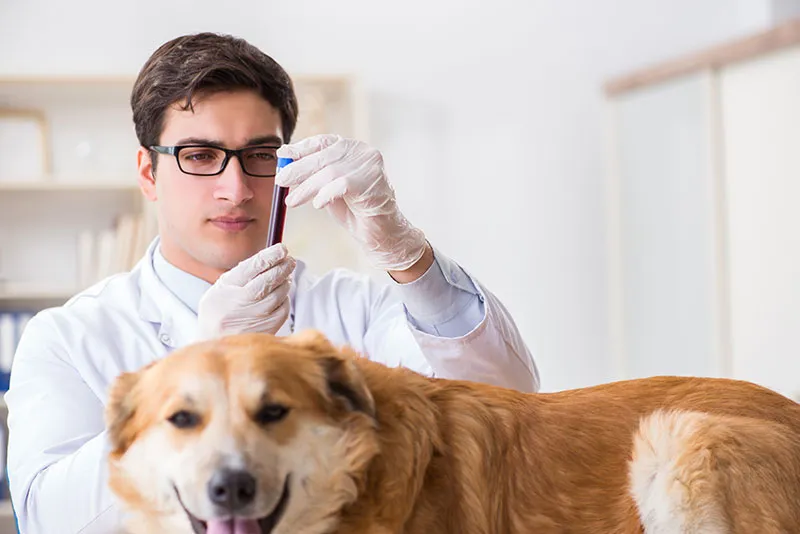 A blue and green abstract geometric pattern with sharp diagonal divisions.