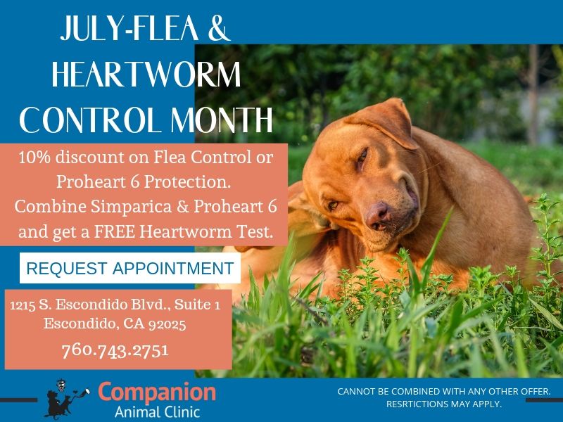 A blue and green abstract geometric pattern with sharp diagonal divisions.