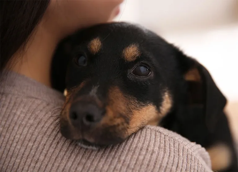 A blue and green abstract geometric pattern with sharp diagonal divisions.