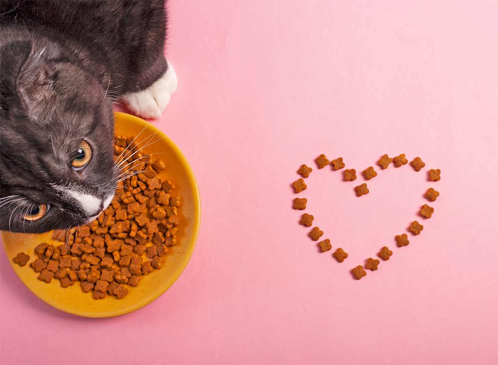 A blue and green abstract geometric pattern with sharp diagonal divisions.