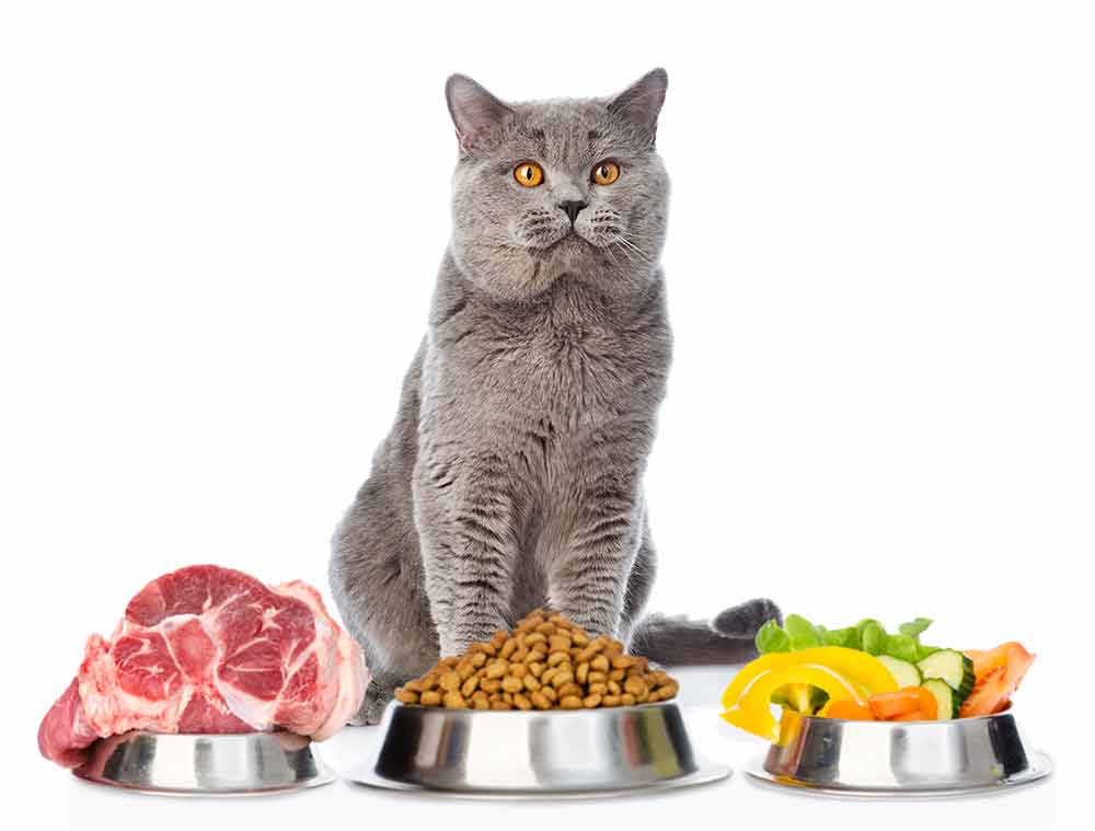 A blue and green abstract geometric pattern with sharp diagonal divisions.