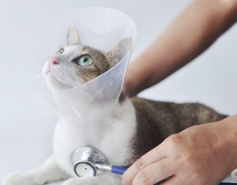 A blue and green abstract geometric pattern with sharp diagonal divisions.