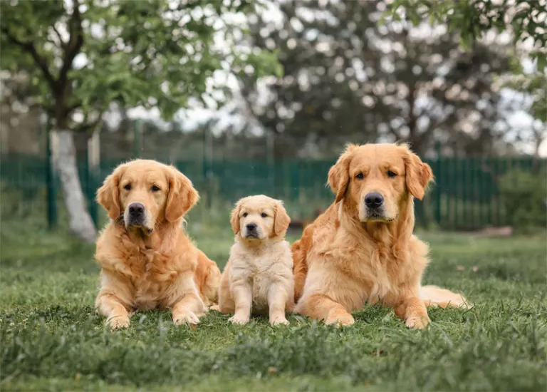 A blue and green abstract geometric pattern with sharp diagonal divisions.