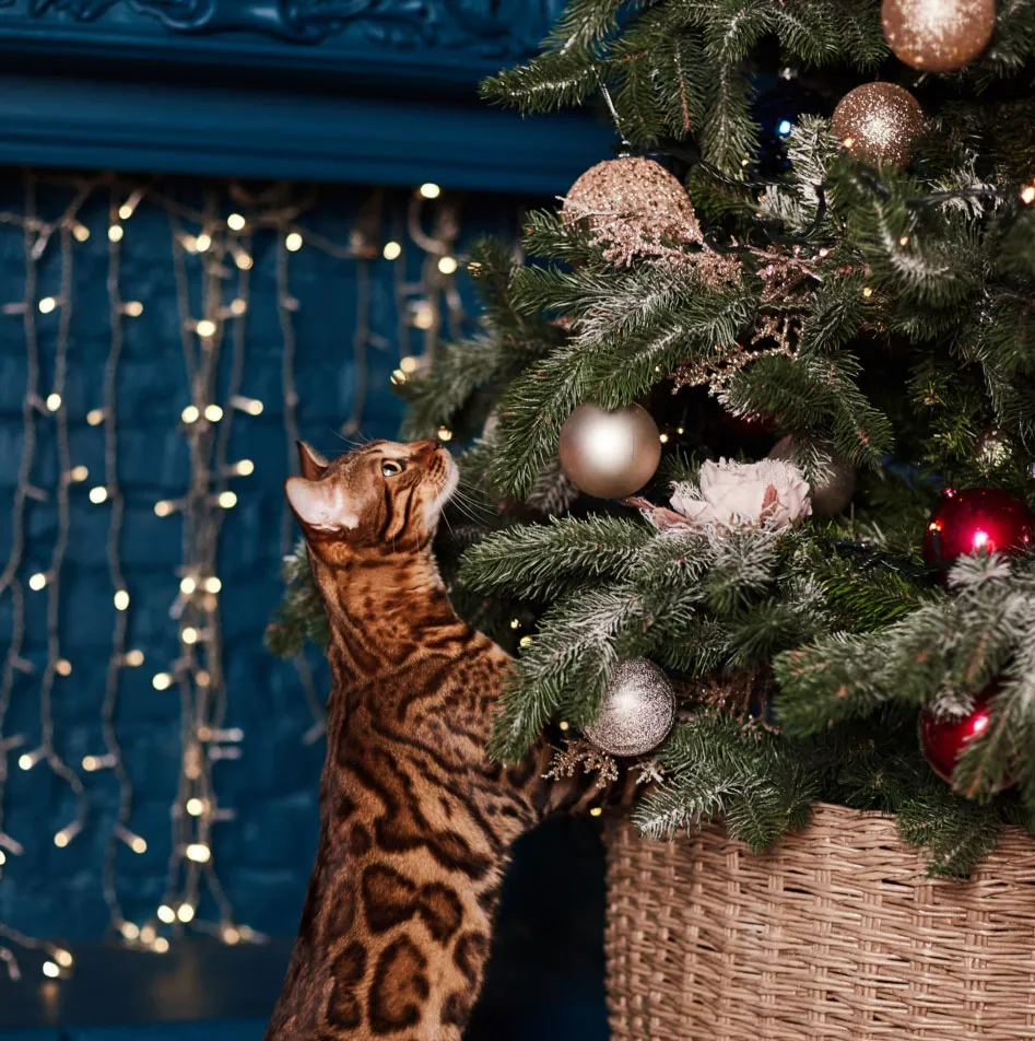 A blue and green abstract geometric pattern with sharp diagonal divisions.