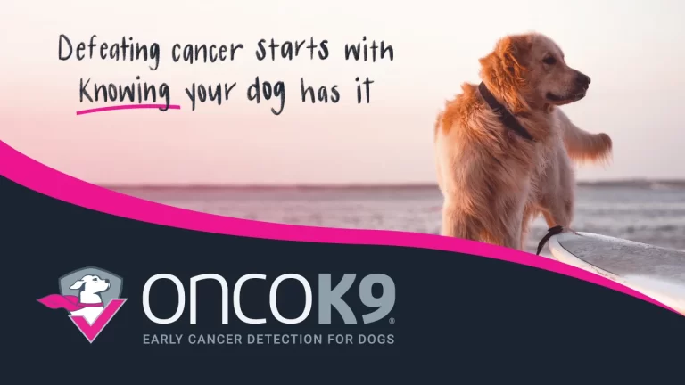 A blue and green abstract geometric pattern with sharp diagonal divisions.