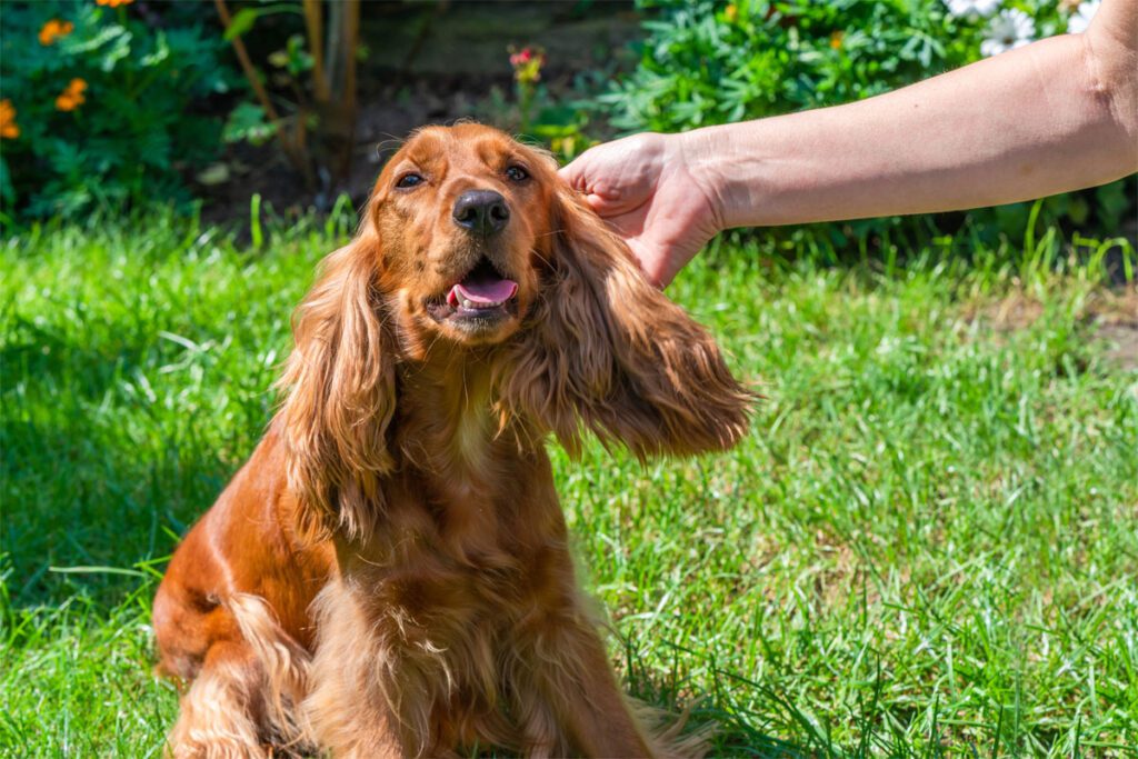 A blue and green abstract geometric pattern with sharp diagonal divisions.