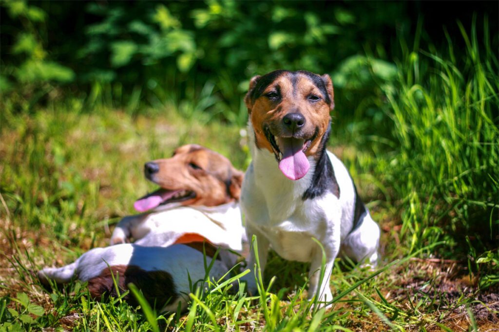 A blue and green abstract geometric pattern with sharp diagonal divisions.