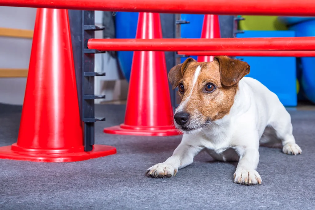 A blue and green abstract geometric pattern with sharp diagonal divisions.