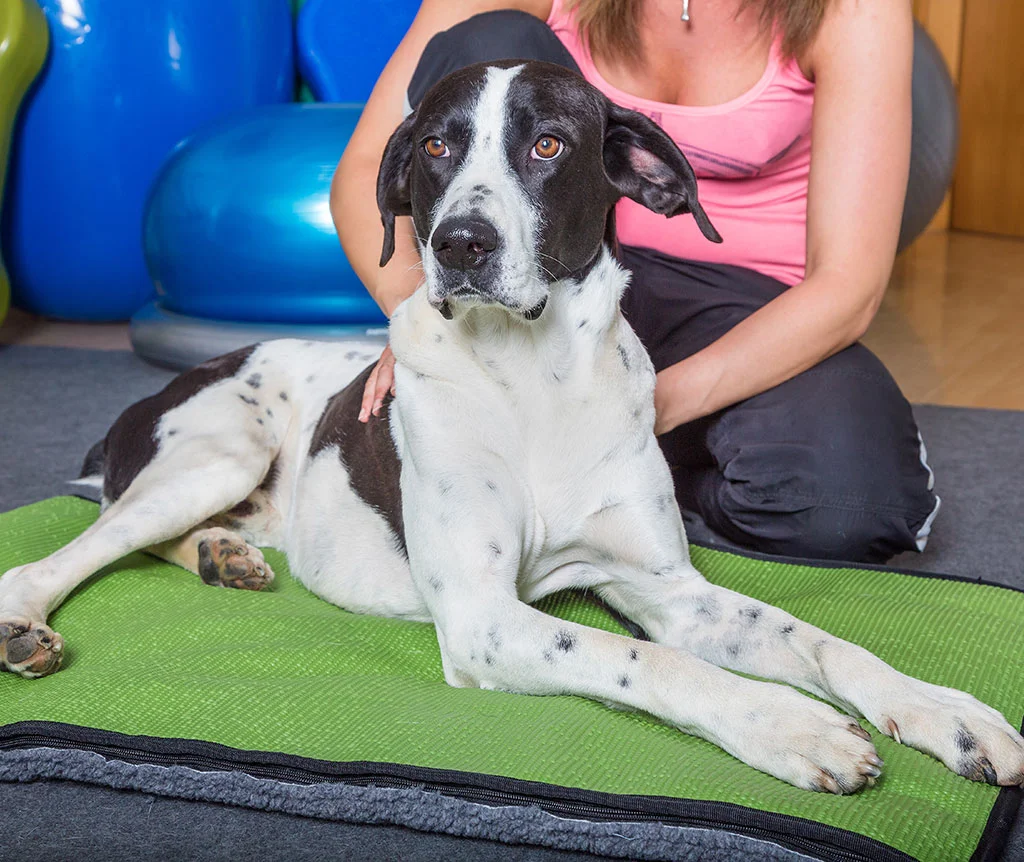 A blue and green abstract geometric pattern with sharp diagonal divisions.