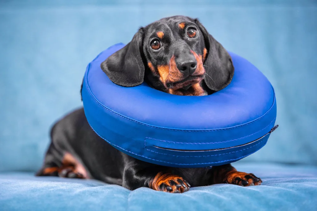 A blue and green abstract geometric pattern with sharp diagonal divisions.