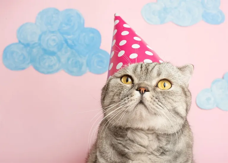 A blue and green abstract geometric pattern with sharp diagonal divisions.