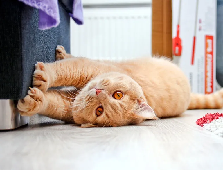 A blue and green abstract geometric pattern with sharp diagonal divisions.