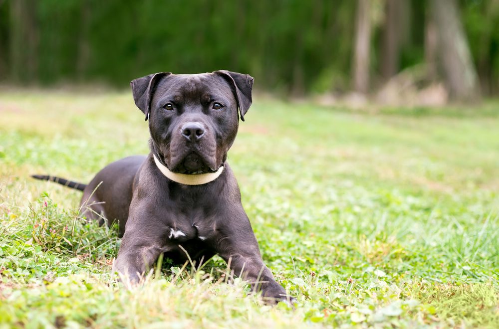 A blue and green abstract geometric pattern with sharp diagonal divisions.