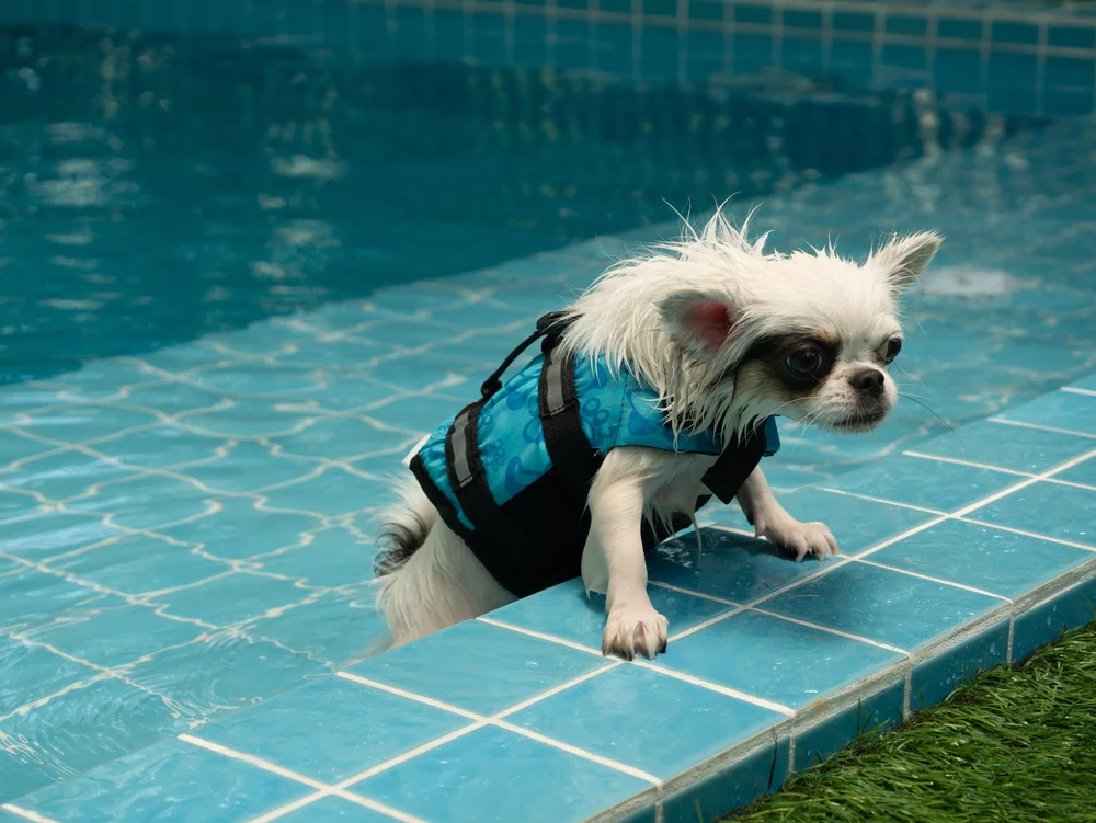A blue and green abstract geometric pattern with sharp diagonal divisions.