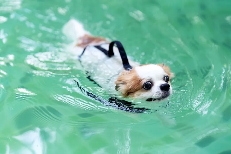 A blue and green abstract geometric pattern with sharp diagonal divisions.