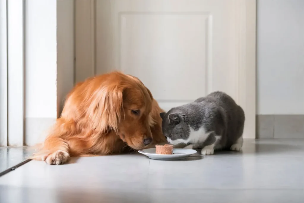 A blue and green abstract geometric pattern with sharp diagonal divisions.