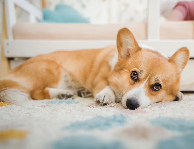 A blue and green abstract geometric pattern with sharp diagonal divisions.