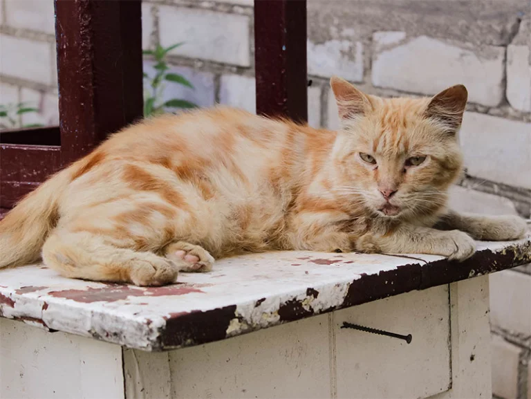 A blue and green abstract geometric pattern with sharp diagonal divisions.