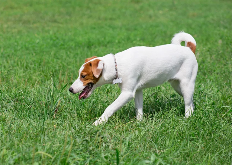 A blue and green abstract geometric pattern with sharp diagonal divisions.