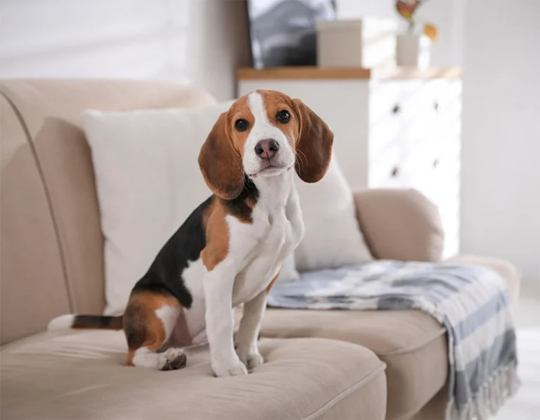 A blue and green abstract geometric pattern with sharp diagonal divisions.