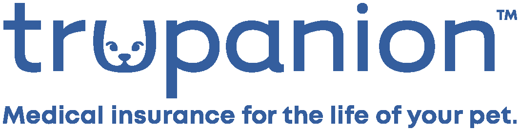 Logo of a company named Pando.