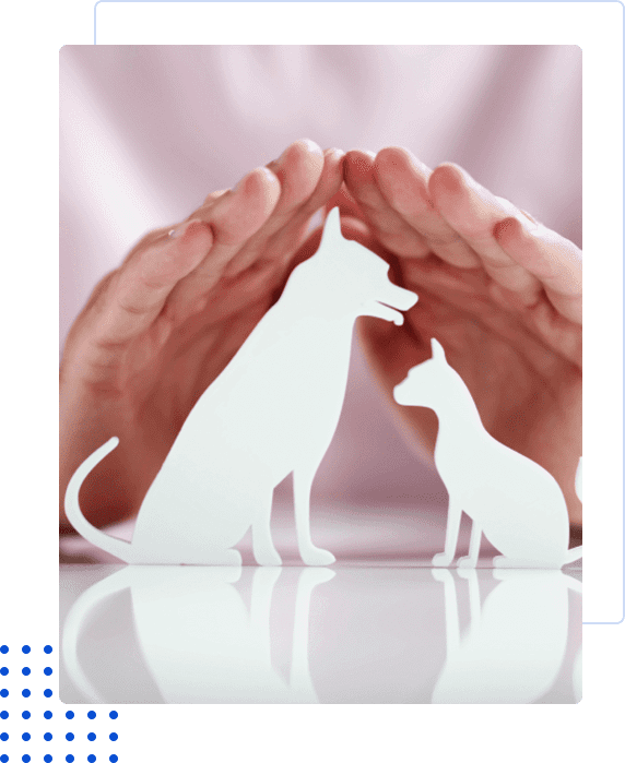 Hands forming a shelter over cat and dog silhouettes.