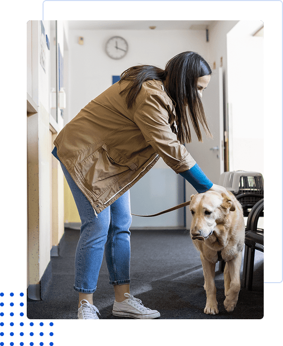 Person wearing a mask and gloves petting a dog indoors.