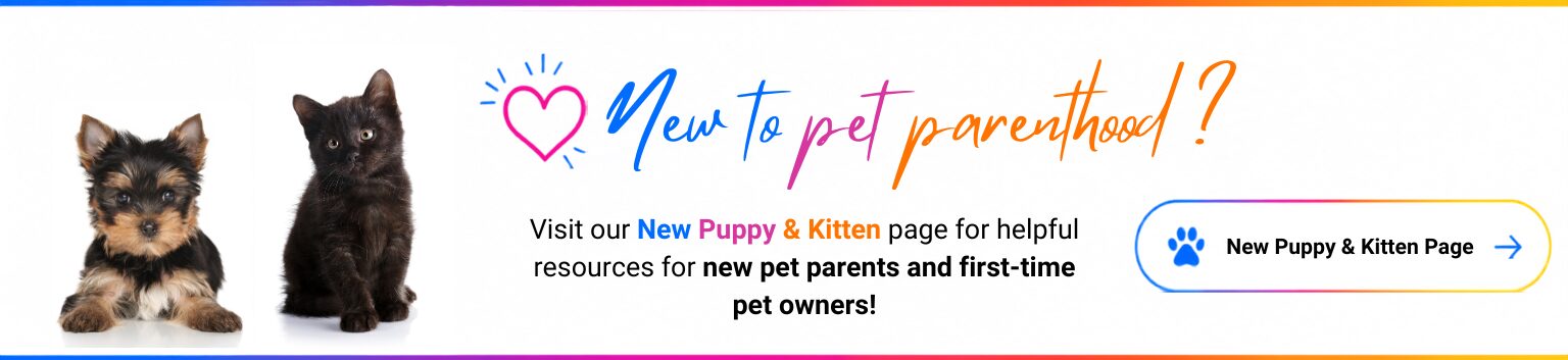 New Puppy Kitten